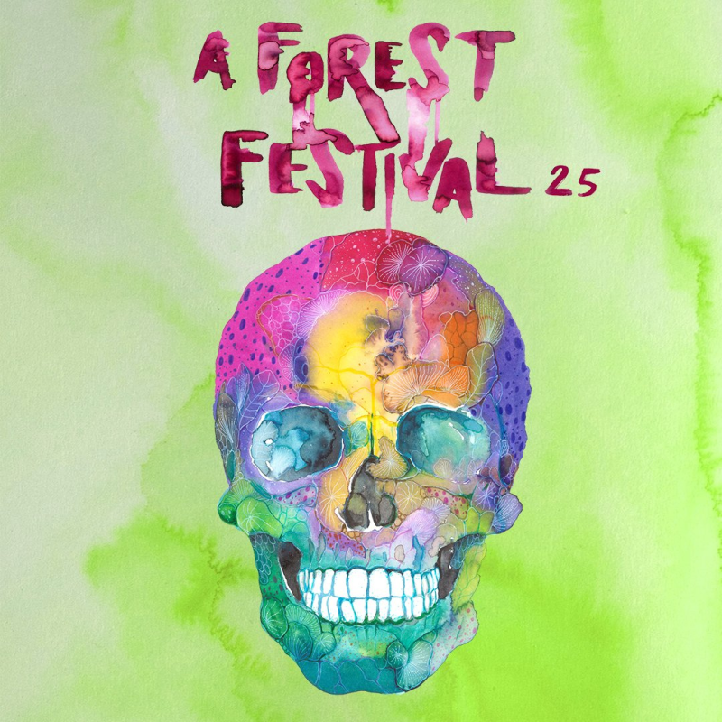 A Forest Festival