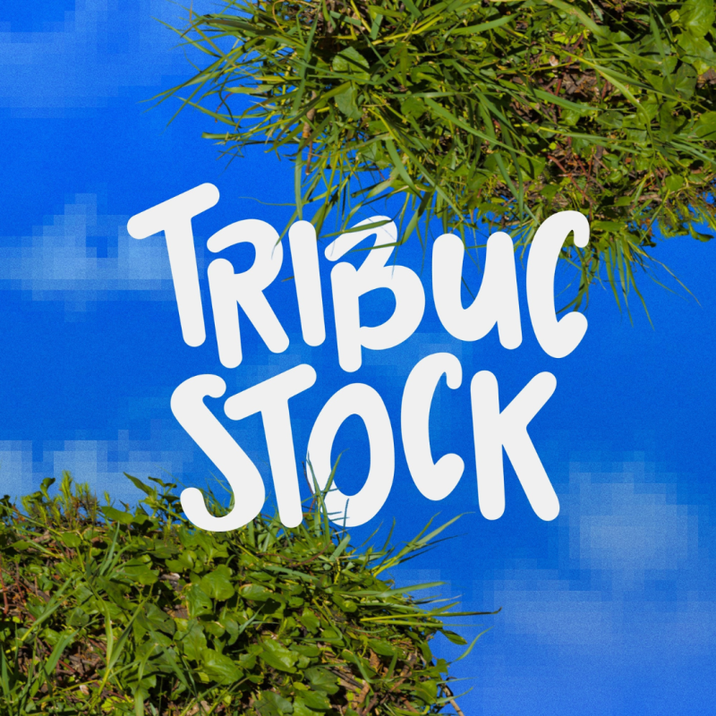 Tribuckstock Festival